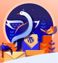 MailPoet nieuwsbrief versturen – tutorial
