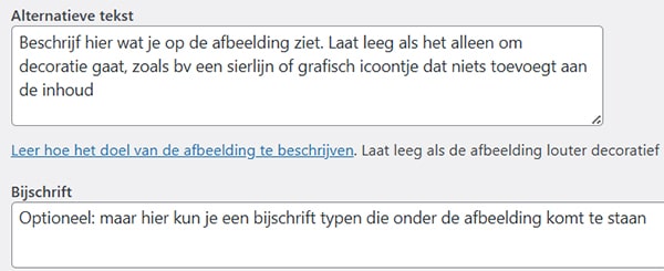 Voorbeelden velden om een alternatieve tekst en/of een bijschrift  toe te voegen